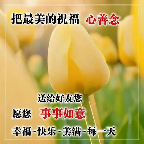 祝幸福语句简短唯美(温馨话语暖人心朋友圈)