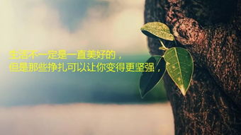 致自己的哲理经典短句 非常走心的心情说说句子