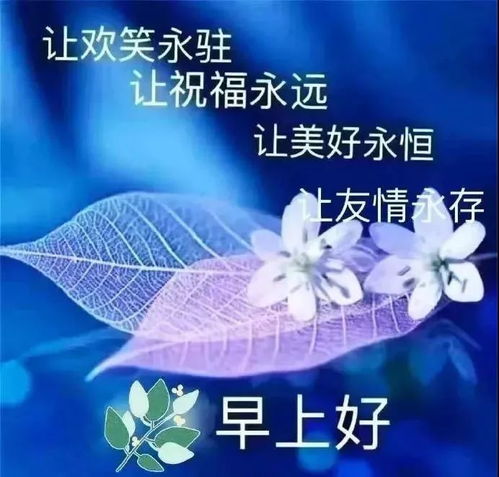 阳光暖人心的早安问候语动态表情图片,早上好动态祝福唯美图片