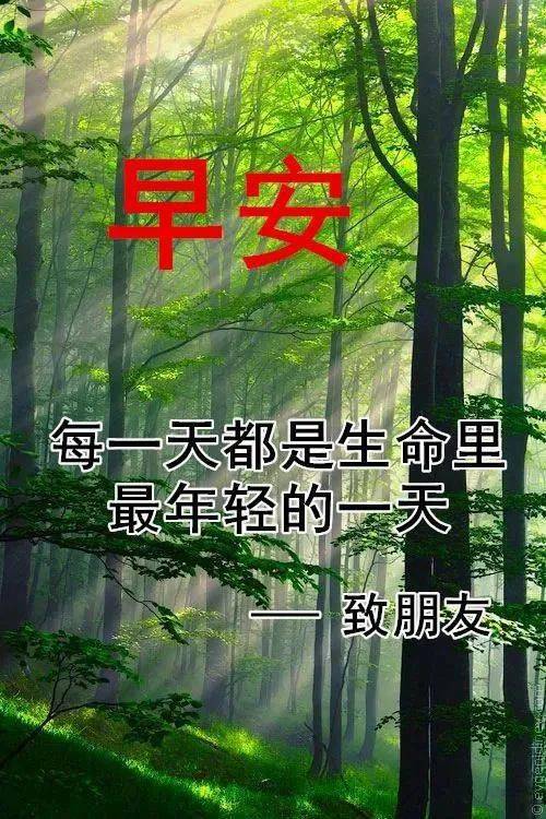 唯美冬天早安问候祝福风景图片带字温馨,冬日漂亮的风景早上好图片带字带祝福语