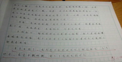 写一篇秋的作文不少于200字,急 