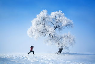 描写雪景超唯美的段落