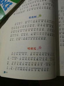 从课外书中摘抄10个比喻句 10个拟人句 要照片,手写也行,照片更好 