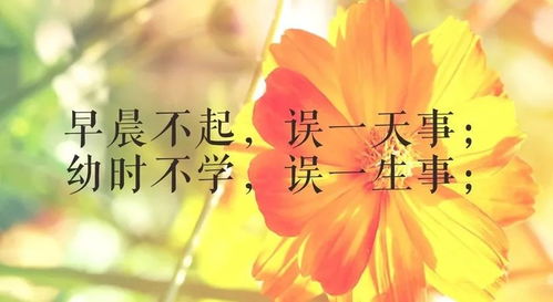 2月15日早安心语正能量阳光句子大全 最美好看早安图片带字正能量