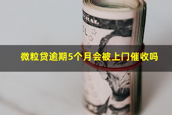 微粒贷逾期5个月会被上门催收吗