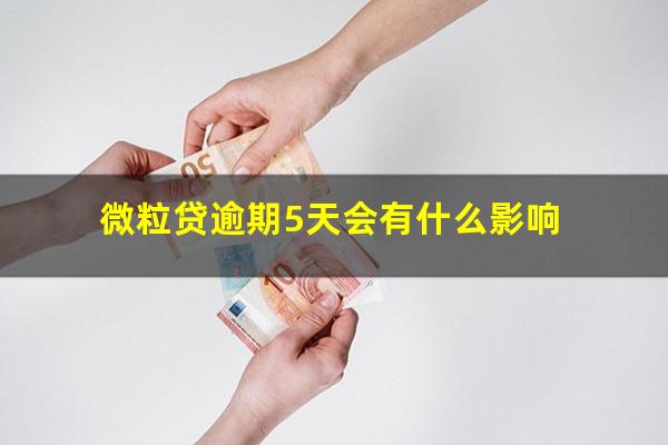 微粒贷逾期5天会有什么影响