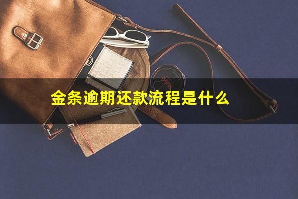 金条逾期还款流程是什么?金条逾期五分钟补救措施