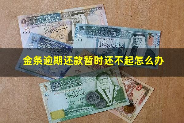 金条逾期还款暂时还不起怎么办?金条逾期五分钟补救措施