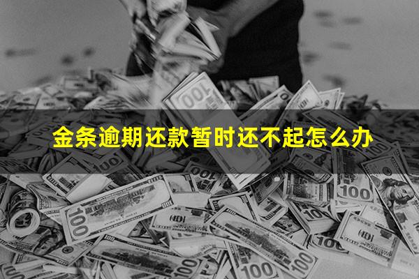 金条逾期还款暂时还不起怎么办