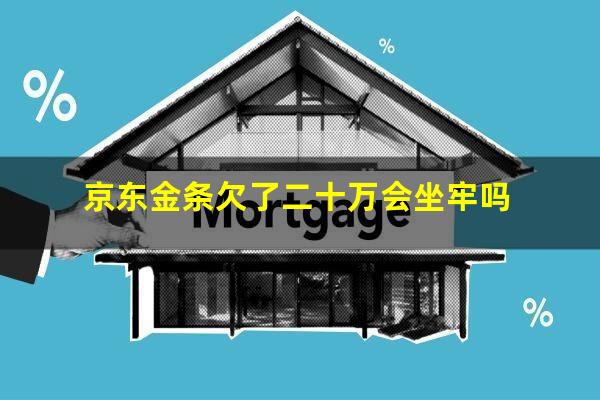 京东金条欠了二十万会坐牢吗